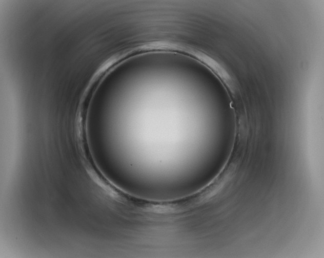 X0000114500998200910191247