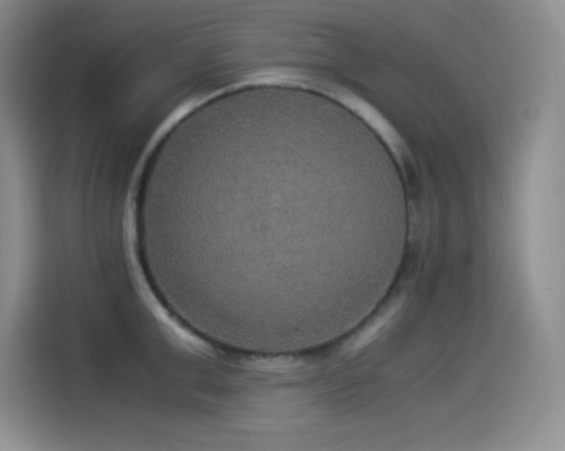 X0000114500999200910191247