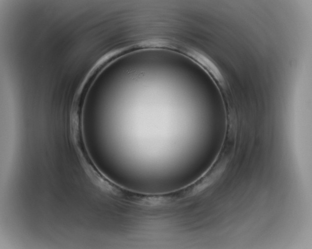 X0000114501000200910191247