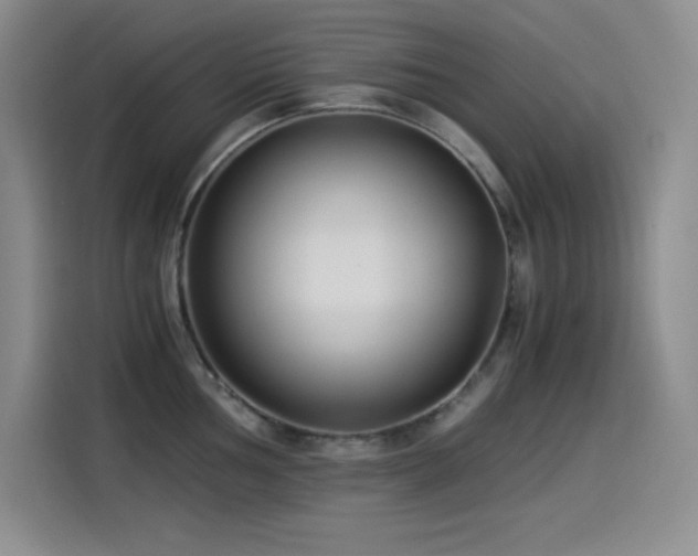 X0000114501002200910191247