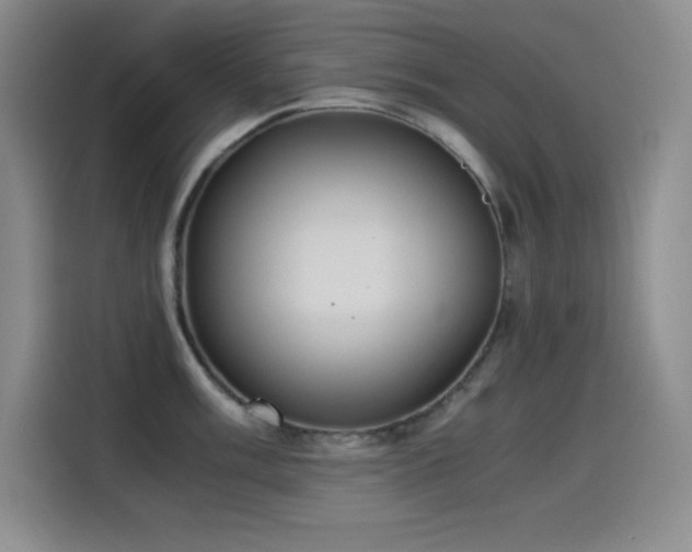 X0000114501003200910191247