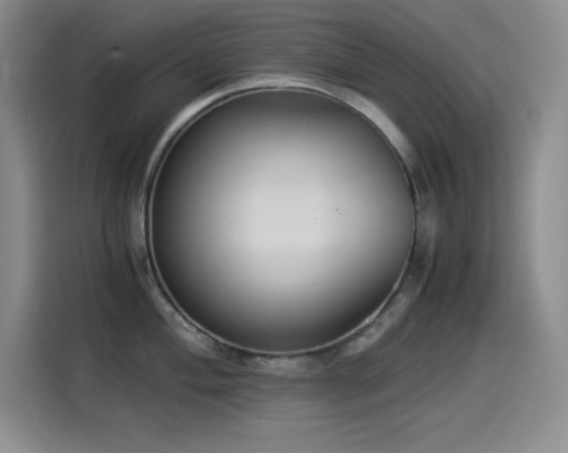 X0000114501004200910191247