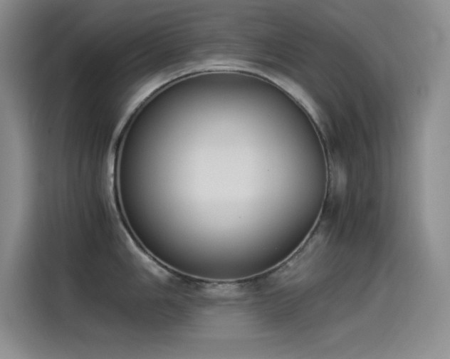 X0000114501006200910191247