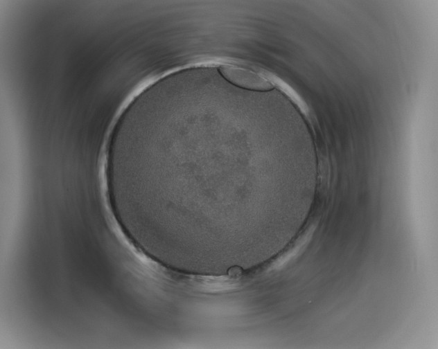 X0000114501007200910191247