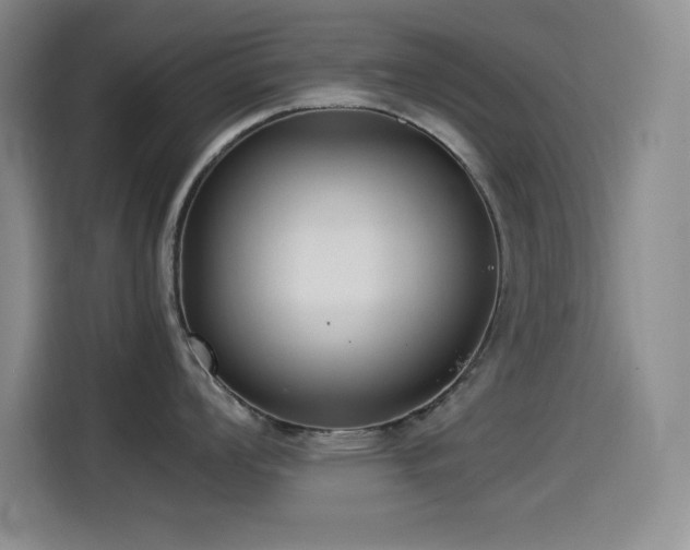 X0000114501008200910191247