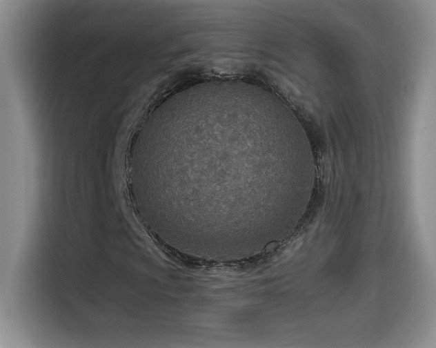 X0000114501009200910191246