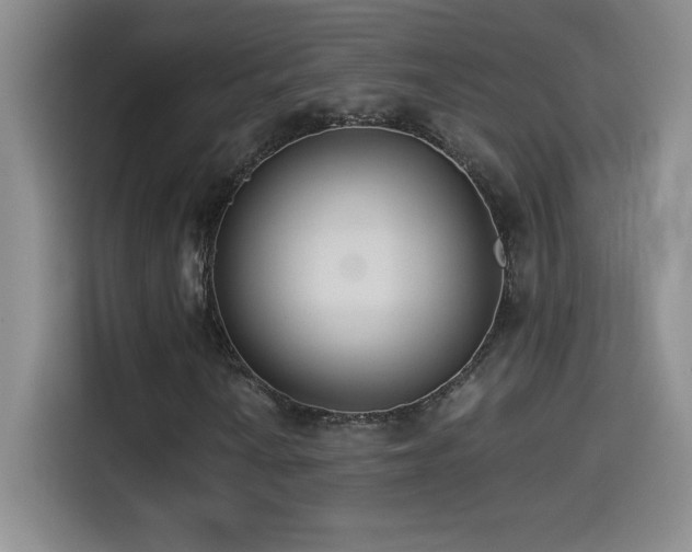 X0000114501010200910191246