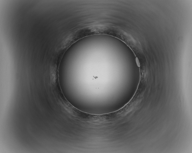 X0000114501012200910191246