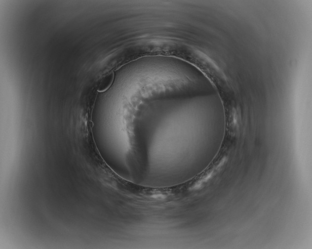 X0000114501013200910191246