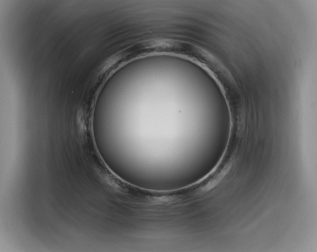 X0000114501017200910191246