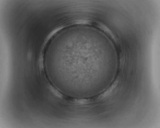 X0000114501019200910191246