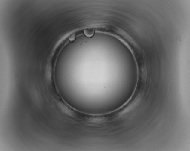 X0000114501021200910191246