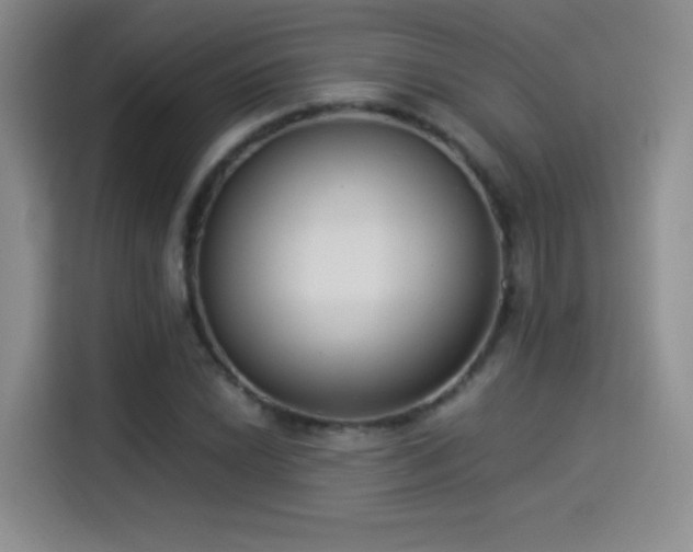 X0000114501022200910191246