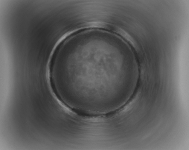X0000114501024200910191246