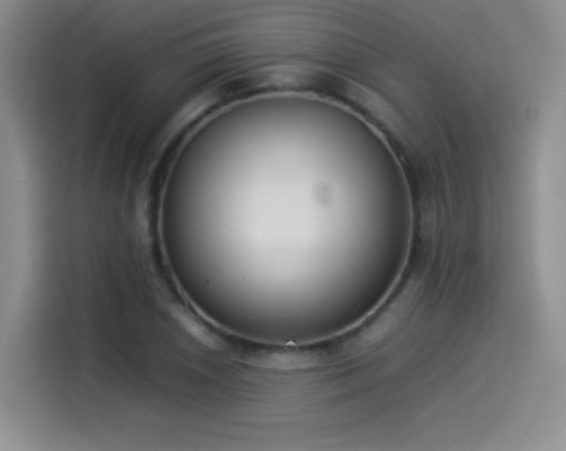 X0000114501026200910191247