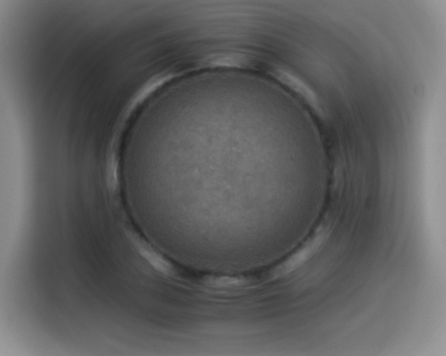 X0000114501027200910191247