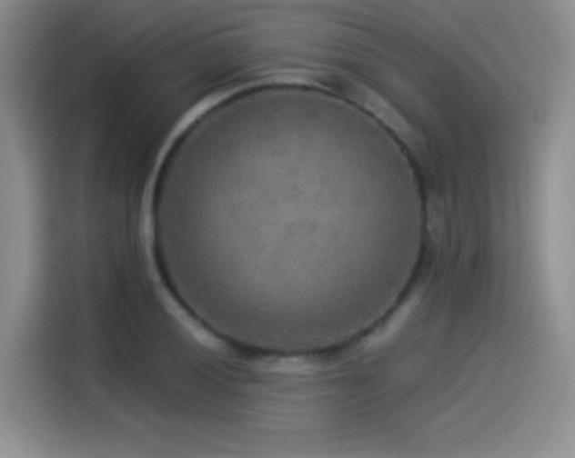 X0000114501028200910191247