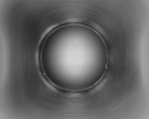 X0000114501030200910191247