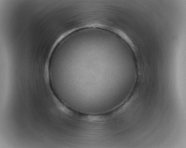X0000114501032200910191247