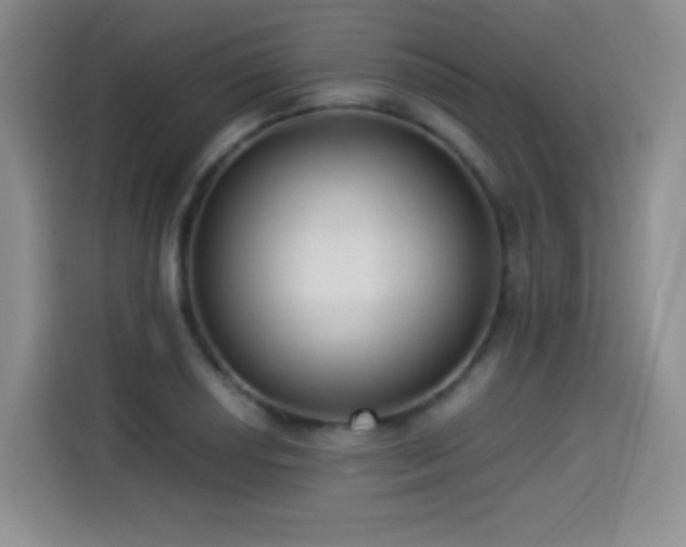 X0000114501034200910191247