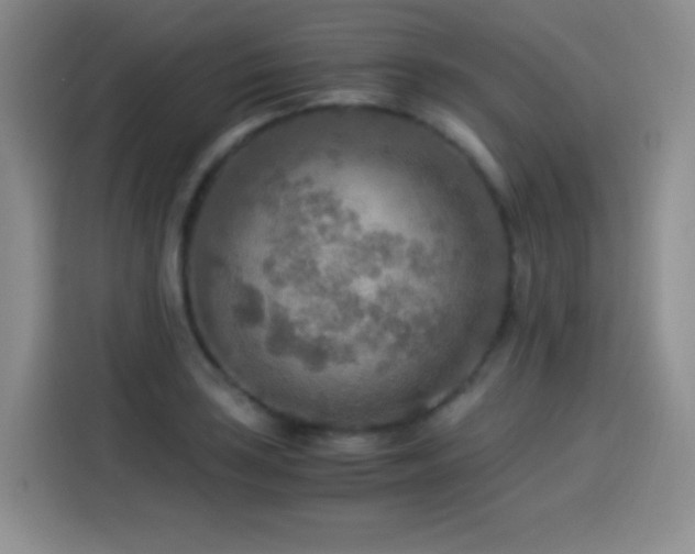 X0000114501035200910191247