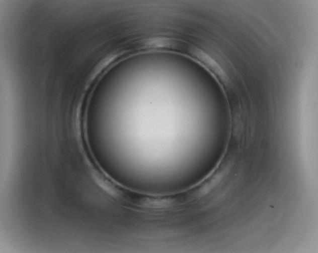 X0000114501039200910191247