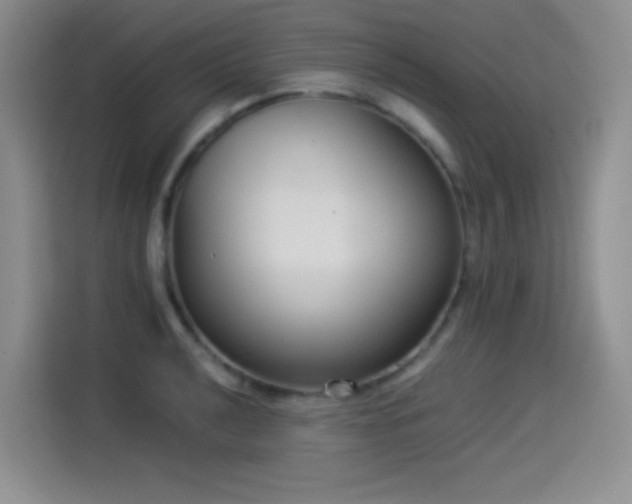 X0000114501040200910191247