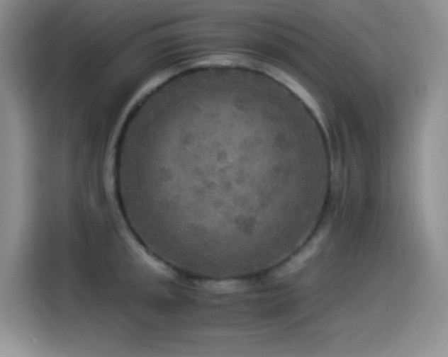 X0000114501045200910191247
