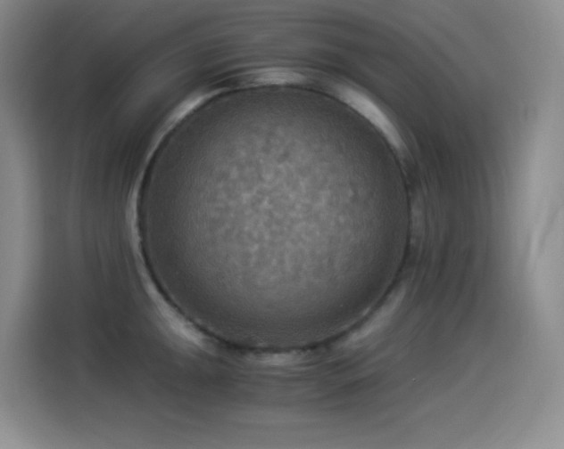 X0000114501047200910191247