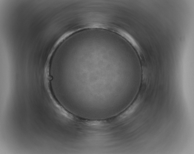 X0000114501048200910191247
