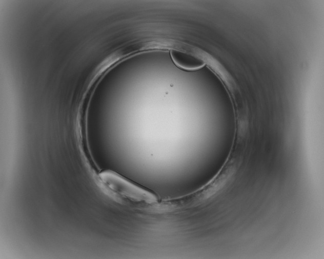 X0000114501050200910191247