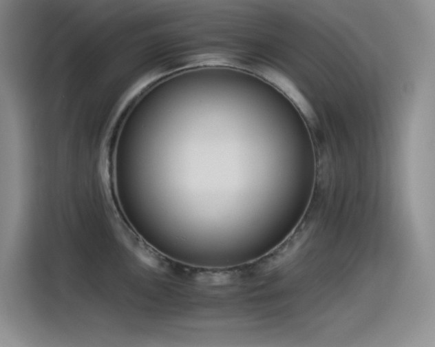 X0000114501051200910191247