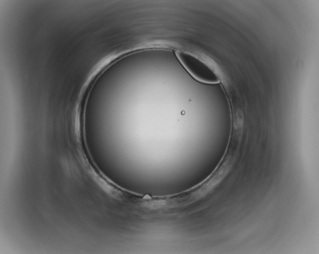 X0000114501054200910191247