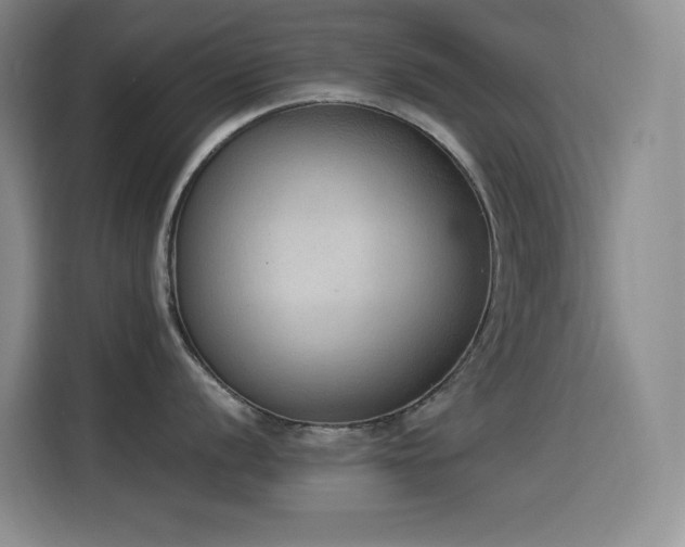 X0000114501056200910191247