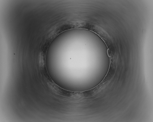 X0000114501058200910191246