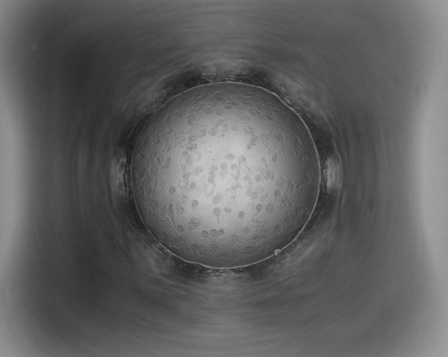 X0000114501059200910191246