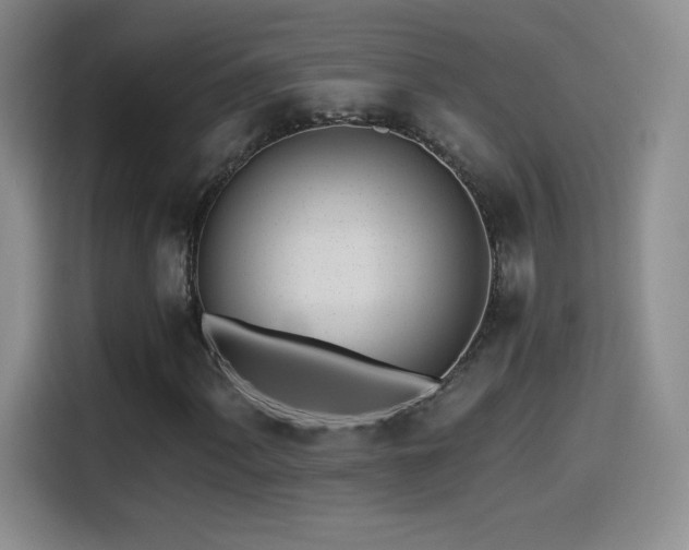 X0000114501060200910191246