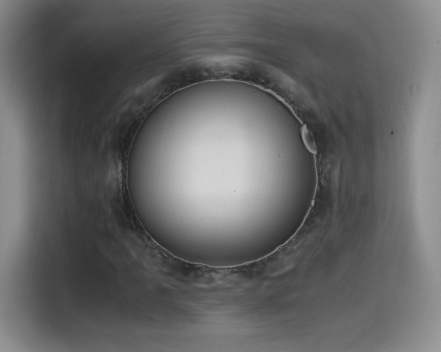 X0000114501061200910191246