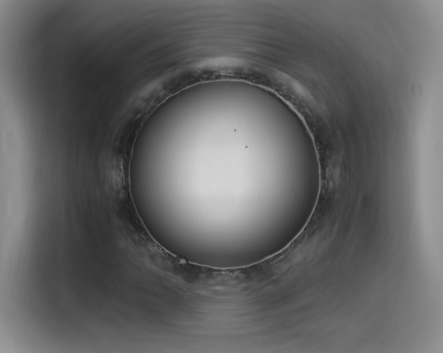 X0000114501062200910191246