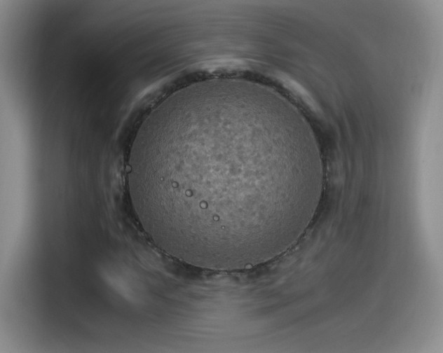 X0000114501063200910191246