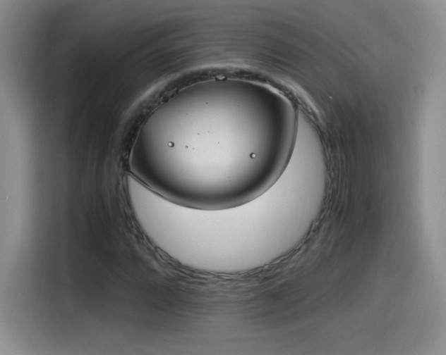 X0000114501064200910191246