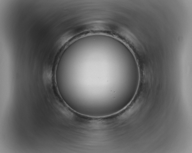 X0000114501065200910191246