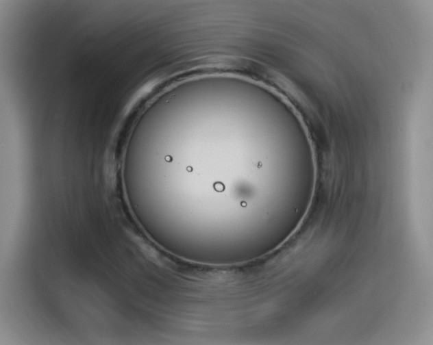 X0000114501067200910191246