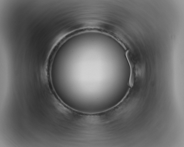 X0000114501068200910191246