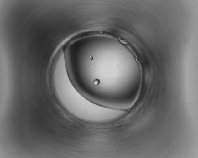X0000114501069200910191246