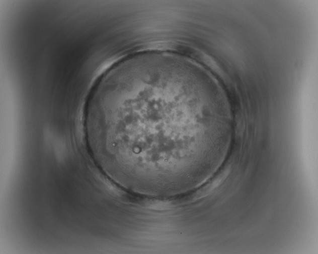 X0000114501071200910191246