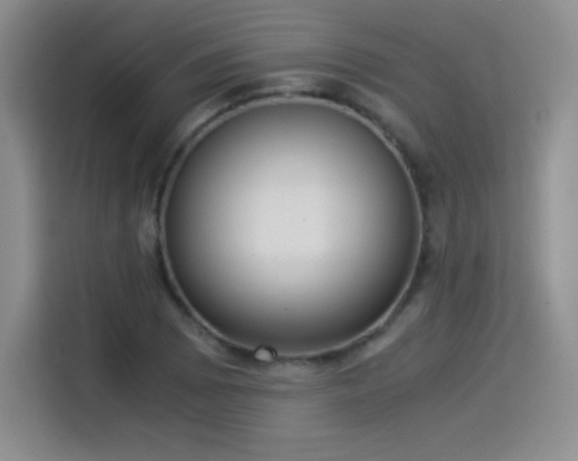 X0000114501073200910191246