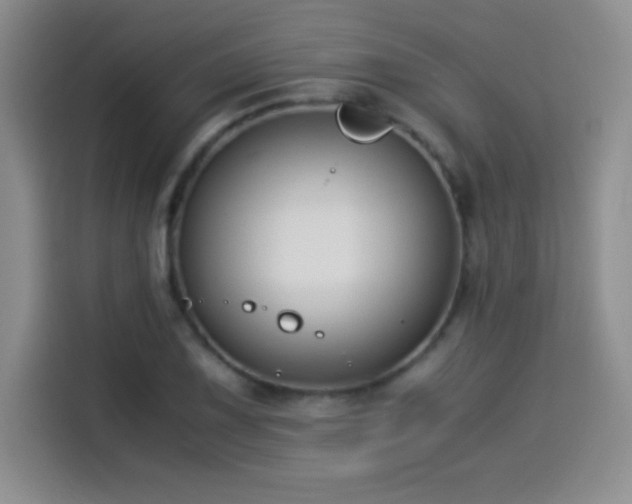 X0000114501075200910191246