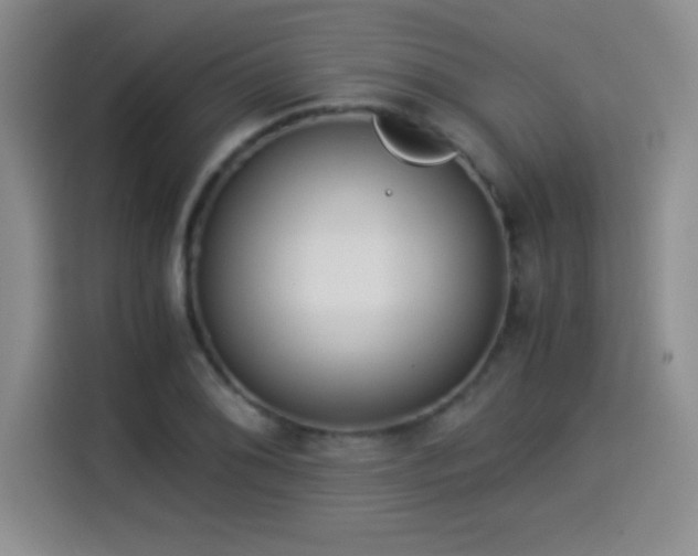 X0000114501076200910191246