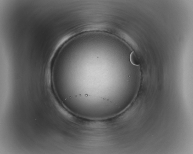 X0000114501079200910191246